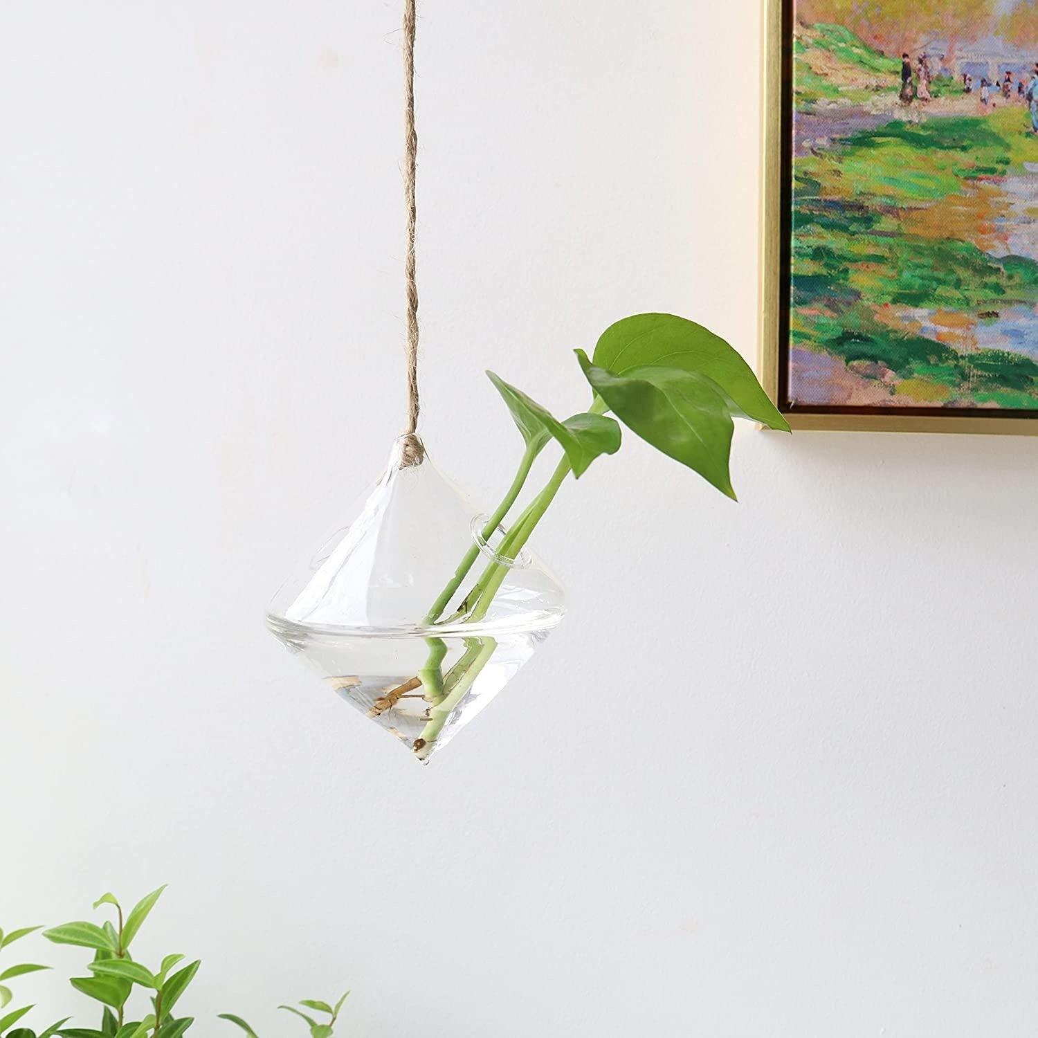 3-Piece Glass Hanging Terrarium Vases