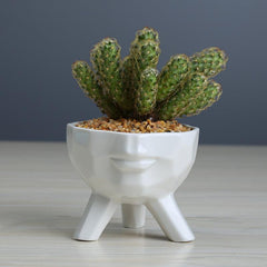 2-Piece White Ceramic Face Succulent Planters