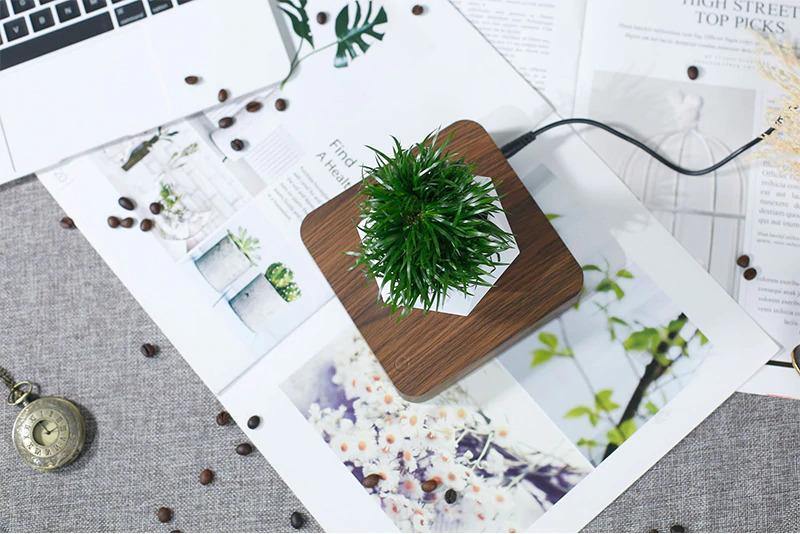 Magnetic Levitating Planter