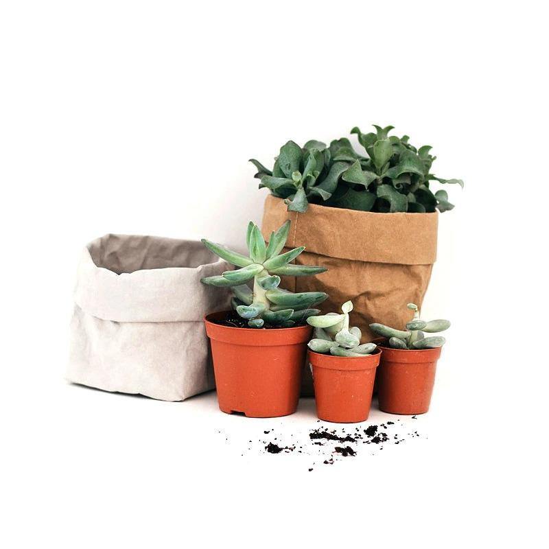 Waterproof Eco-Friendly Paper Planter Bag