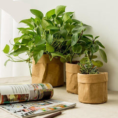 Waterproof Eco-Friendly Paper Planter Bag