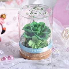 Eternal Rose Real Flower Vase